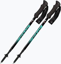 Zdjęcie Kije Trekkingowe Fizan Compact 4 Water Green - Piaseczno