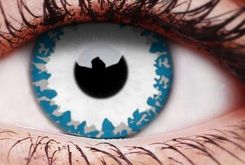 Maxvue Vision Colourvue Crazy Wendigo -0,00 1szt.
