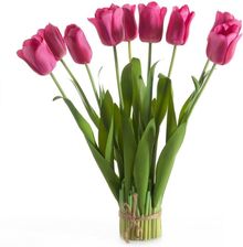 Zdjęcie Kwiat Natu 476 46 Cm Amarantowy - Łapy