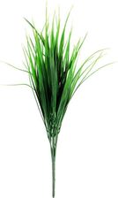 Zdjęcie Bukiet 35 Traw 36 Cm - Trzcianka