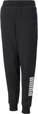 Zdjęcie Puma Spodnie Power Logo 58930701 - Cieszyn