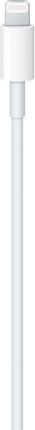 Apple USB-C - Lightning 2.0m Biały (MW2R3ZMA) - zdjęcie 2