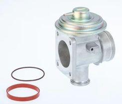 Zdjęcie Borgwarner Wahler Zawór Agr 710921D 1 710921D1 - Jordanów