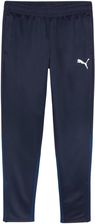 Zdjęcie Puma Spodnie Męskie Team Goal Training - Serock