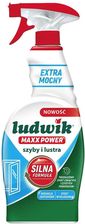 Ludwik Płyn Do Mycia Szyb I Luster Maxx Power 750Ml
