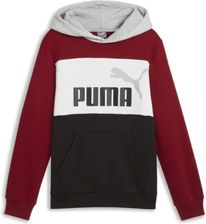 Zdjęcie Puma Bluza Ess Block Fl 67971713 - Wolbrom