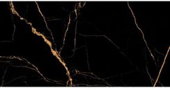 Netto Markinia Gold Polished Gres 60x120