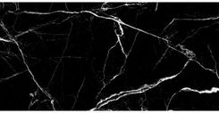 Netto Markinia Silver Polished Gres 60x120