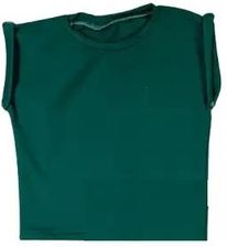 Koszulka t-shirt 70 kolorów do wyboru rozmiar 62