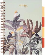 Wpc Kołozeszyt Strigo Pads Project Book B5 Kratka Afryka Pastelowy Zielony
