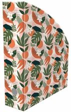 Zdjęcie Biurfol Pojemnik Na Dokumenty Tropical 7Cm - Toruń