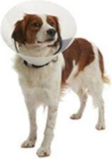 Zdjęcie Kruuse Kołnierz Ochronny Buster Plastikowy Clic Collar 25Cm 3359 - Marki