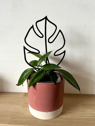 Podprki Do Kwiatw Rolin Podprka Podpora Pergola Monstera Black L 43cm -  Ceny i opinie - Ceneo.pl