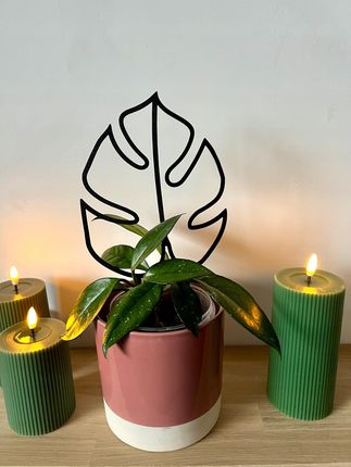 Podprki Do Kwiatw Rolin Podprka Podpora Pergola Monstera Black L 43cm -  Ceny i opinie - Ceneo.pl
