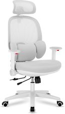 Zdjęcie Mark Adler Ergonomiczny Fotel Młodzieżowy Junior 6.3 Grey - Bartoszyce