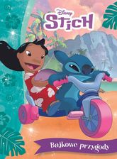 Zdjęcie Bajkowe przygody. Disney Stich - Kamień Krajeński