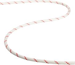 Zdjęcie Beal Lina Półstatyczna Spelenium 10Mm - Świecie