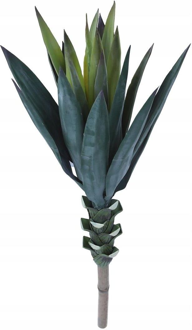 monstera festbinden Monstera am Moosstab – ruuds main image 0