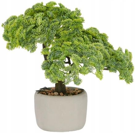 Pikne Sztuczne Drzewko Szczecia Bonsai Sedum Multiceps 25 W Doniczce  (Hp192511950) - Opinie i atrakcyjne ceny na Ceneo.pl