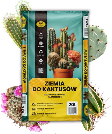 Podoe Ziemia Do Kaktusw I Sukulentw Z Nawozem 20L Gotowe 1824807274 -  Ceny i opinie - Ceneo.pl