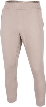Spodnie męskie 4F beżowe H4Z22 SPMD015 83S 2XL