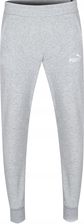Zdjęcie Spodnie Puma Ess 2 Col Logo Pants Tr Cl, Mężczyźni - Darłowo