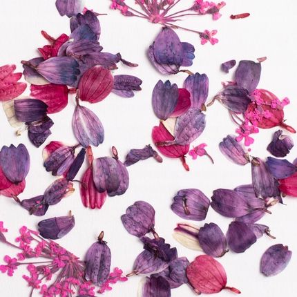 Semilac Suszone Kwiaty Do Zdobienia Paznokci Flower Flakes Wild Orchid - zdjęcie 3