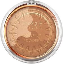 Zdjęcie Sensique Puder Brązujący 106 Bronzing Powder New - Płoty