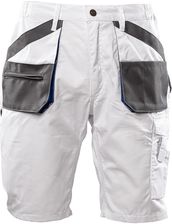 APKS - Krótkie spodnie BRIXTON PRACTICAL z materiałów poliester i bawełna 260G/M2 - khaki 46