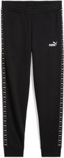 Zdjęcie Puma Spodnie Ess Tape Tr Cl 68501301 - Kościan