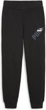Zdjęcie Puma Spodnie Power Tr 67789501 - Koziegłowy