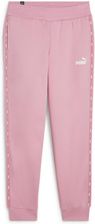 Zdjęcie Puma Spodnie Ess Tape Fl Cl 67599948 - Małomice