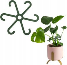 Cozy Corners Zielona Podpora Chwytak Podpórka Do Roślin Kwiatów Gałęzi Łodyg Obejma 10cm 