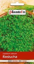 Zdjęcie Nasiona Rzeżucha Ogrodowa 10G Plantico 408708 - Libiąż