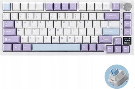 パーツ AKz202 AJAZZ AK820 Przewodowa klawiatura mechaniczna TKL 75%, klawiatura