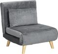 Homcom Sofa Rozkładana Fotel Rozkładany Z Funkcją Spania Poduszką Łóżko Gościnne Regulowanym Oparciem Aksamitny Wygląd Nośnoś (839875V00Gy)