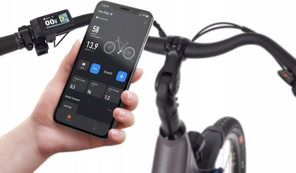 фото Електровелосипед Ecobike X-City Eve 28 2024 Coffee Grey