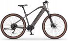Ecobike Sx 300 48V 14Ah 672Wh Miedziano / Czarny 29 2024