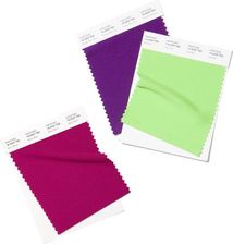 Zdjęcie Pantone Polyester Swatch Card – Pojedyncza Próbka Na Poliestrze - Zielonka