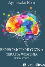 Zdjęcie Sensomotoryczna Terapia Widzenia w praktyce - Namysłów