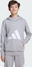 Zdjęcie Bluza z kapturem Essentials Kids - Sławków