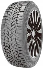 Doublestar WINTERKING DW08 225/50R17 94H