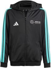 Zdjęcie Bluza Z Kapturem Mercedes - Amg Petronas Formula One Team Dna Full Zip - Polanica-Zdrój