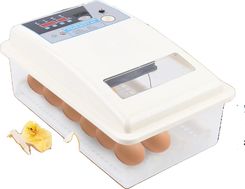 Inkubator Do Jaj, Automatyczna Kontrola Temperatury, Duża Pojemność Na 24 Jaja, Podwójne Zasilanie