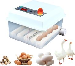 Inkubator Do Jaj, Pojemność 16 Automatyczna Kontrola Temperatury, Podwójne Zasilanie