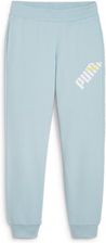 Zdjęcie Puma Spodnie Power Tr 67789522 - Jordanów