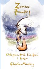 Zdjęcie Zawsze pamiętaj. Chłopiec, kret, lis, koń i burza - Świebodzin