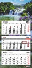 Zdjęcie Kalendarz 2026 trójdzielny płaska główka Łubin - Skarżysko-Kamienna