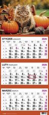 Zdjęcie Kalendarz 2026 Trójdzielny Kot - Strzyżów