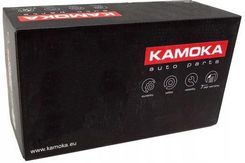 Zdjęcie Kamoka Sprężarka Zawieszenia Pneumatycznego 2077049 - Pilawa